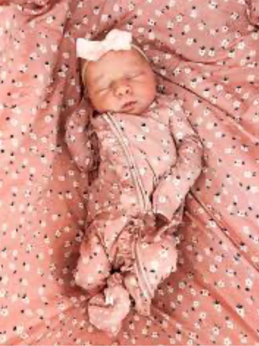 Posh Peanut EUC Emmilene Pink Floral Bamboo Crib Sheet